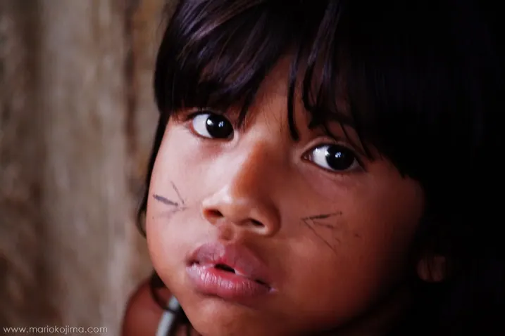 The Guaraní community