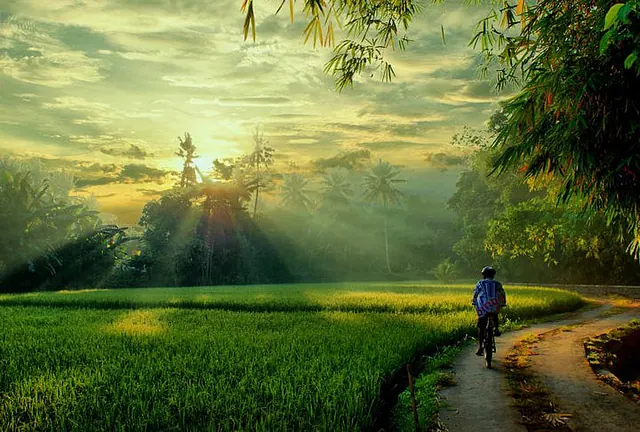 Ecotravel on Bali - Green Tips & Hints