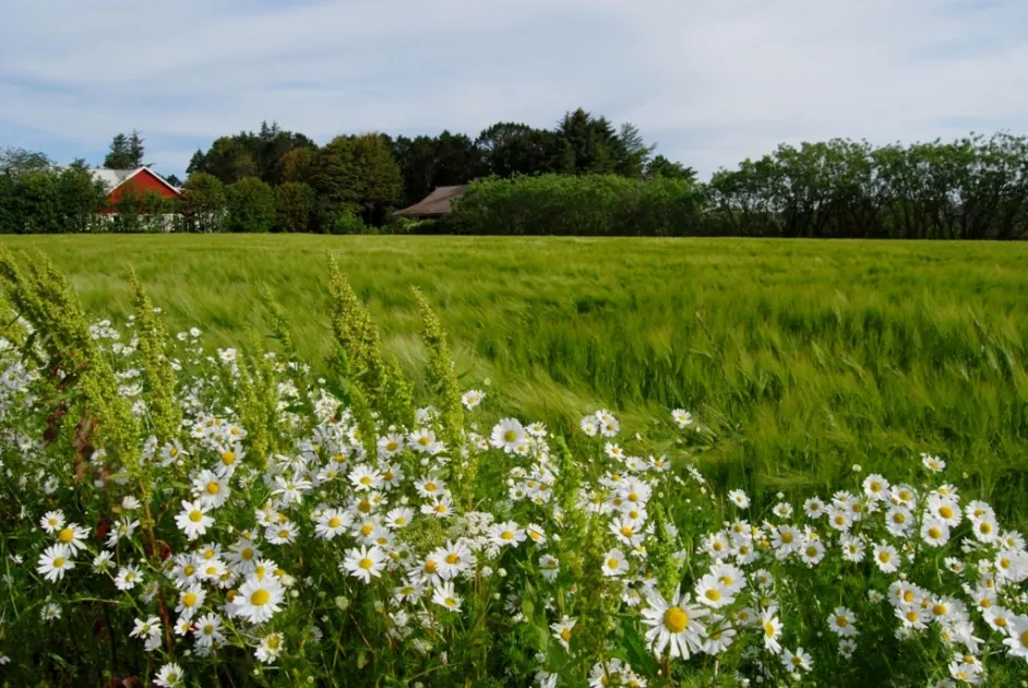 Biking in Norway: up and down until Egersund