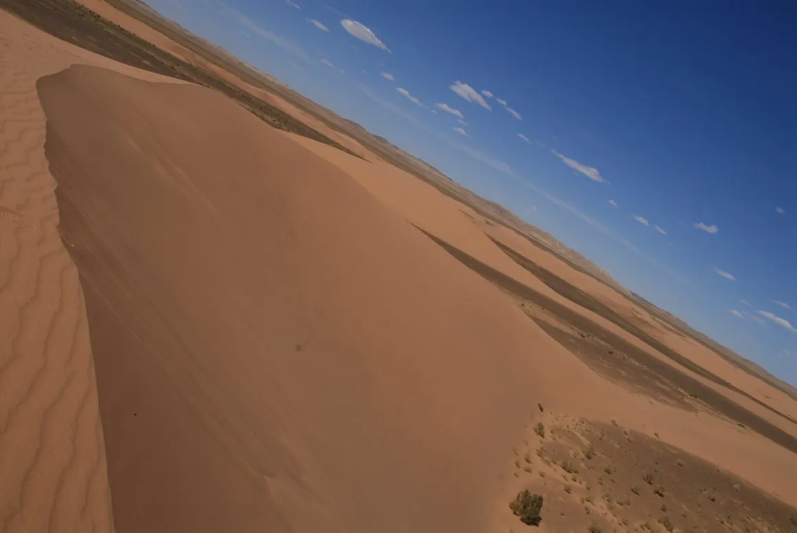 Go be a Gobi Explorer