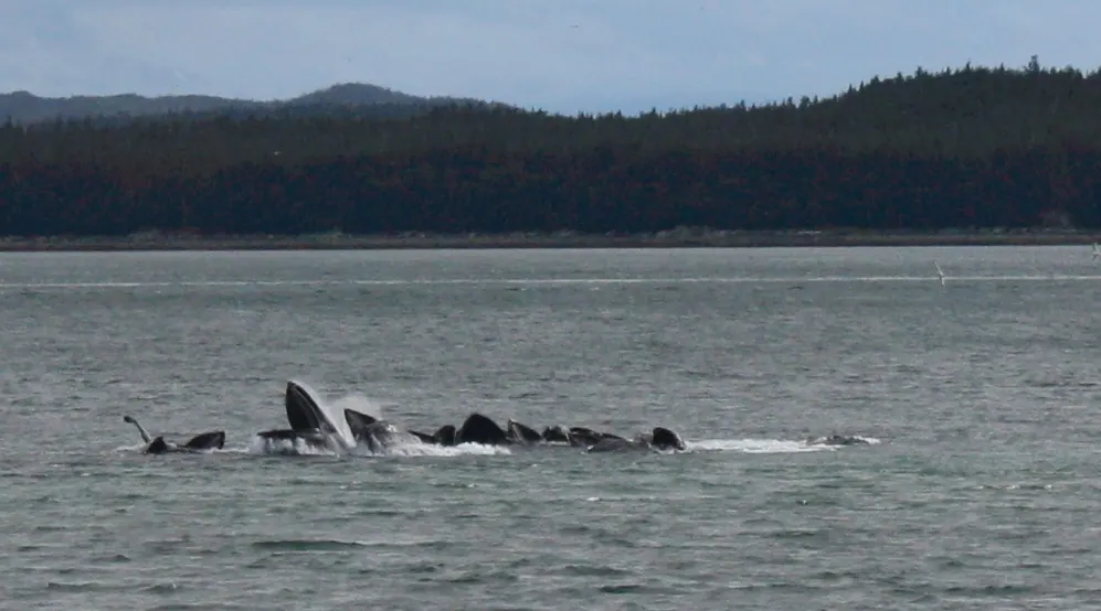 Alaska: Living Simple is not Simple
