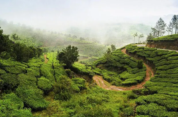 Indian Travel Destinations That Rekindle The Fire Of Love