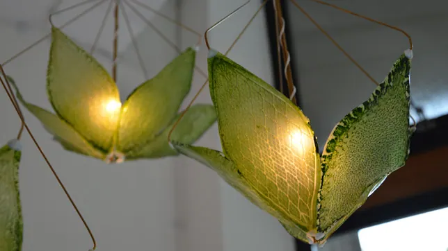 Innovative thinking: the Silk Leaf Project, or how an artificial leaf could provide us with clean air