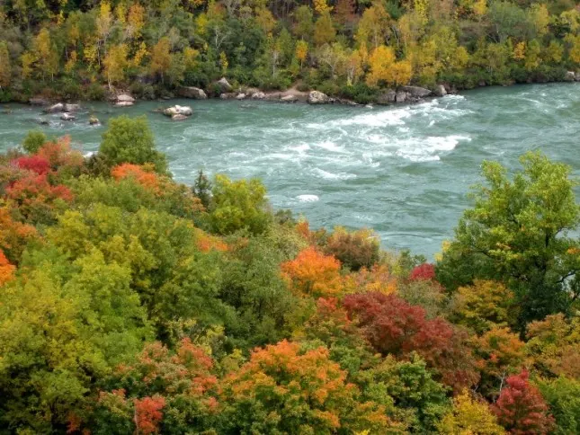 The Changing Face of Ontario's Landscape