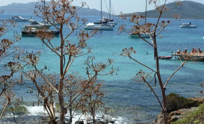 Sardinia trip on a sailing boat
