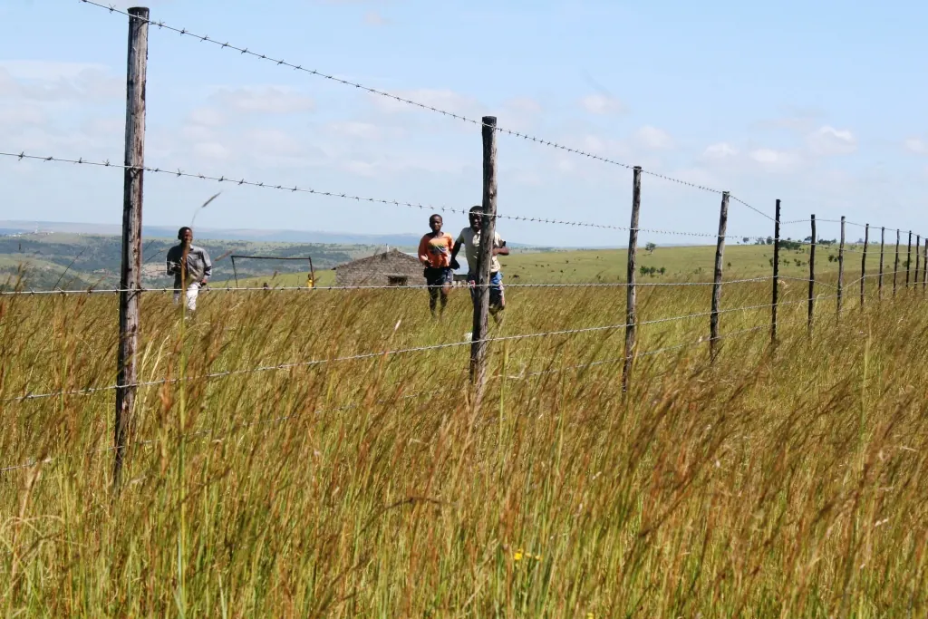 R61 Wild Coast SA