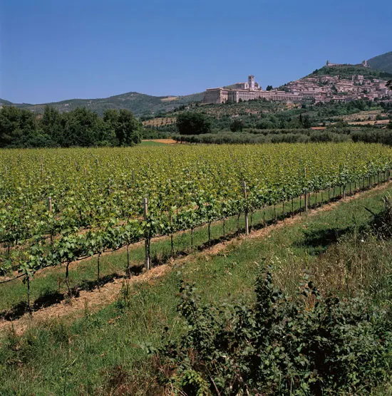 Travel local with Discovering Umbria