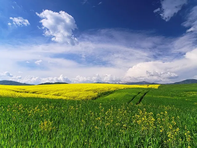 Ecotourism in Slovakia