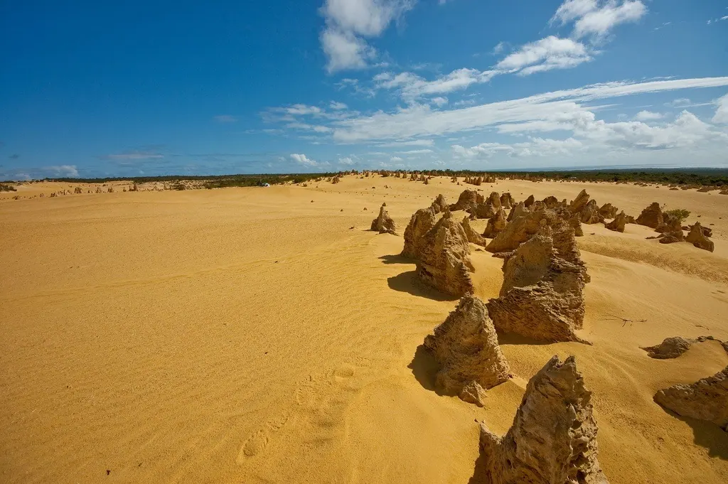 Australia: Ecotourism Down Under