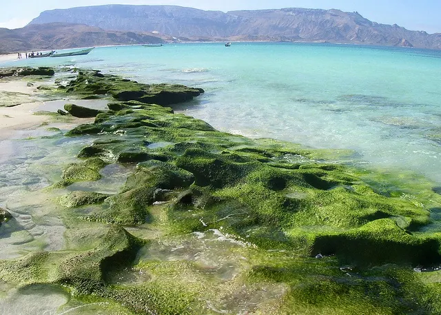 Ecotourism in Yemen