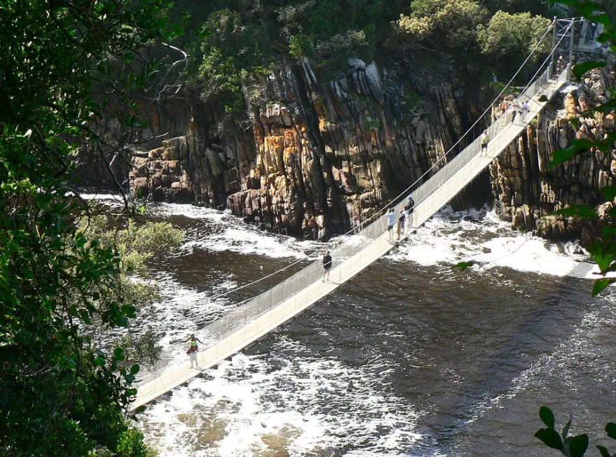 Slip Back Into Nature And Experience The African Wilderness Along The Garden Route