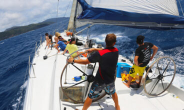 Brisbane to Cairns Experience