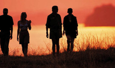 South Africa Discoverer