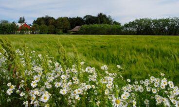 Biking in Norway: up and down until Egersund