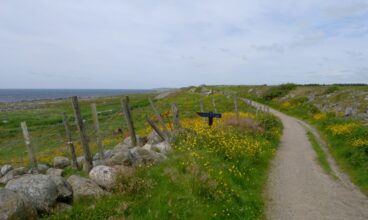 Biking in Norway: ecotourism experience