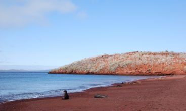 Ecotourism in the Galapagos: Take Only Photographs, and Leave Nothing