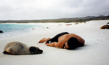 Galapagos — North and Central Islands aboard the Queen