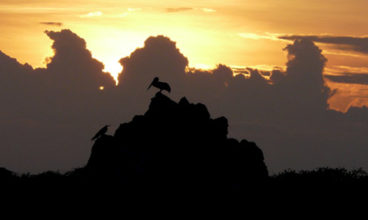 Galapagos — South Islands aboard the Daphne