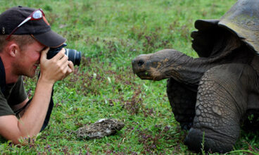 Galapagos — Central, South & East Islands aboard the Queen