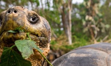 Galapagos on a Shoestring