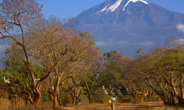 Kenya & Tanzania Overland Adventure