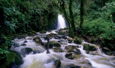 G Lodge Amazon – 6 days