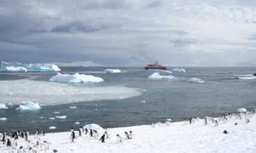 Quest for the Antarctic Circle