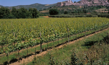 Travel local with Discovering Umbria