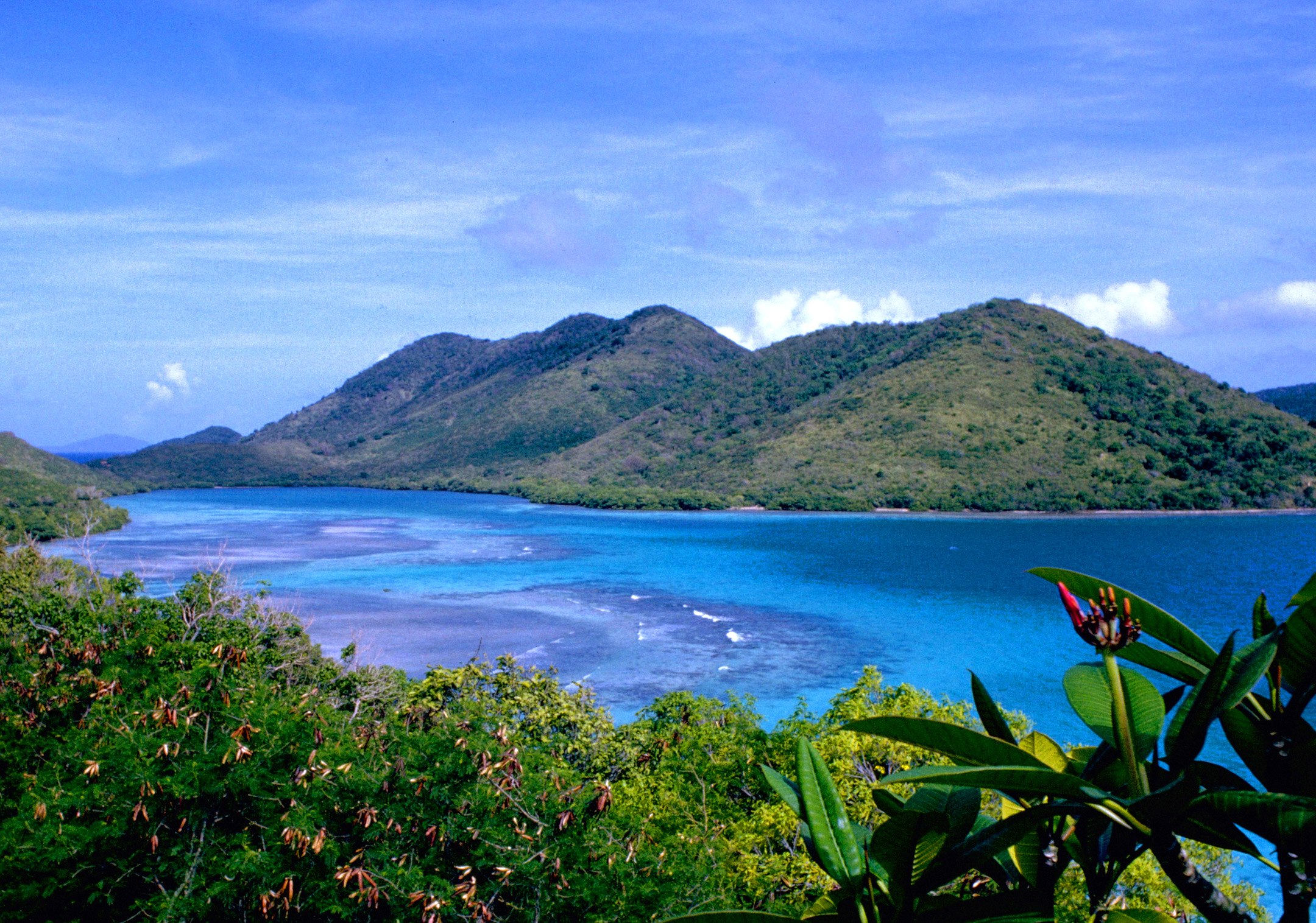 Virgin islands. Национальный парк Верджин-Айлендс. Амер Виргинские острова. Виргинские острова (архипелаг). Британские Виргинские острова.