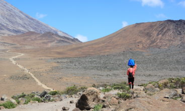 Kilimanjaro Summit and Safari
